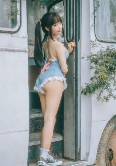 高嫁柳嫁家动画第三季评价